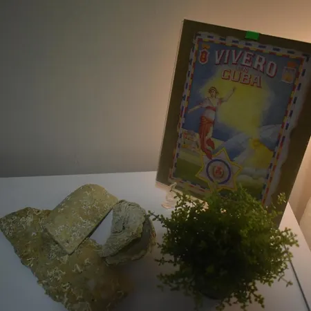 Apartamento A Casa Do Calexón Viveiro