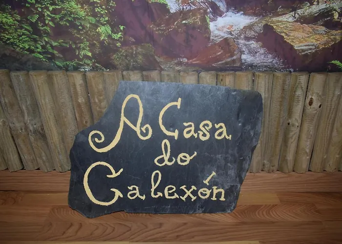A Casa Do Calexon * Viveiro